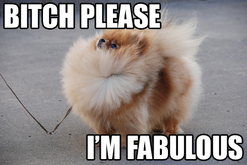 Bitch please fabulous
