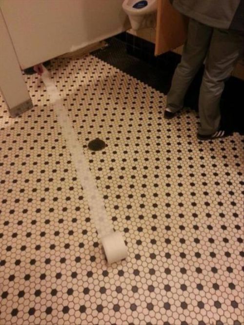 toilet paper shit oops