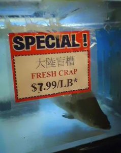 special fresh crap crabl funny chinese