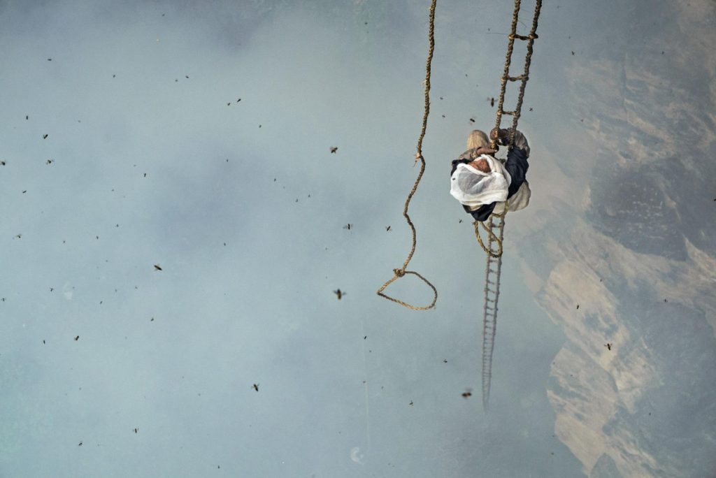 "The Last Death-Defying Honey Hunter of Nepal"